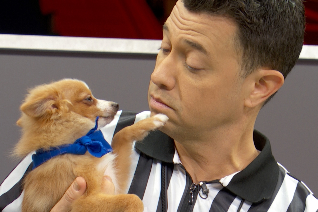 Pup and referee
