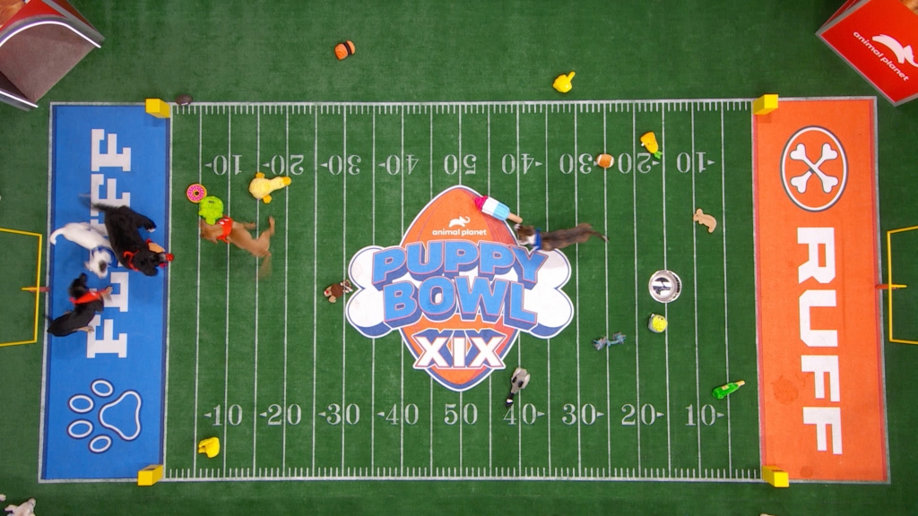 Puppy Bowl