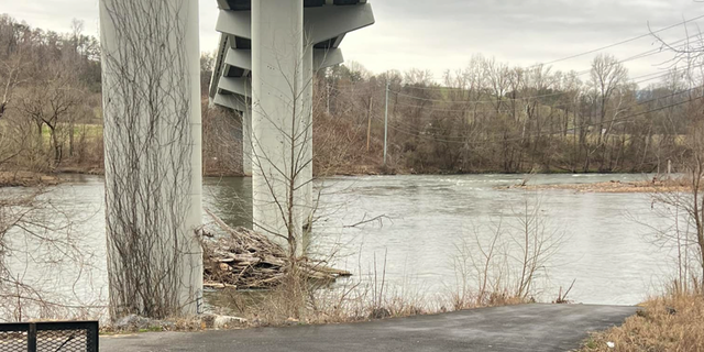 Bridge in Tennessee where 11 dead raccoons and trash were dumped.