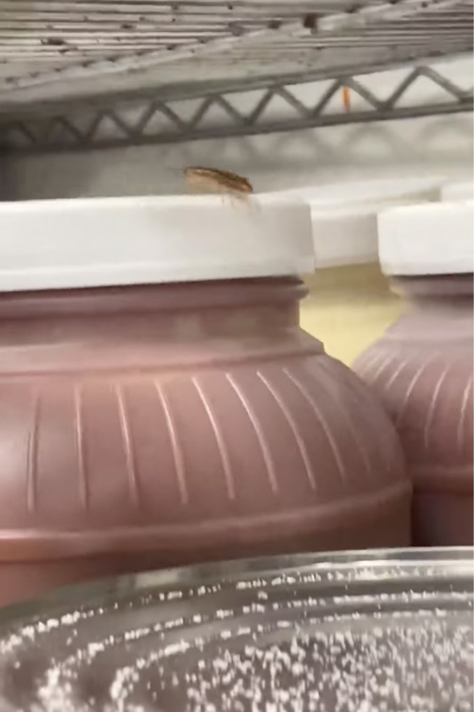 Following the original post, Kirkland shared videos from the kitchen with more roaches on jars. 