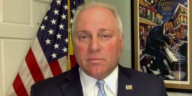 House Majority Leader Steve Scalise, R-La., said allowing non-citizens to vote would only make the border crisis worse.