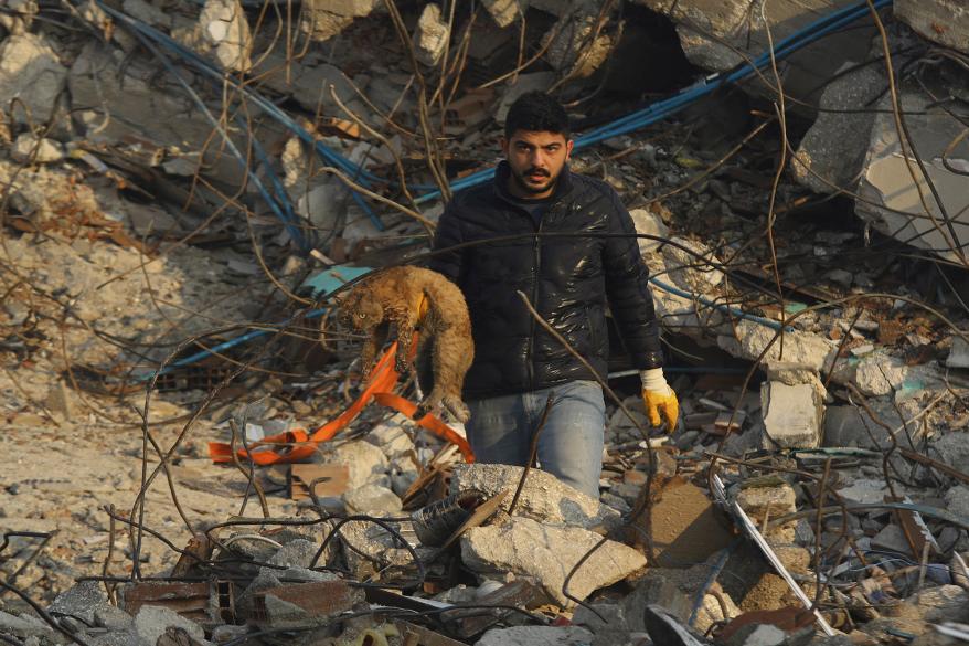 A man holds a shocked and tired cat he rescued from the ruble of a collapsed building in Hatay city center, southern Turkey, Thursday, Feb. 9, 2023.