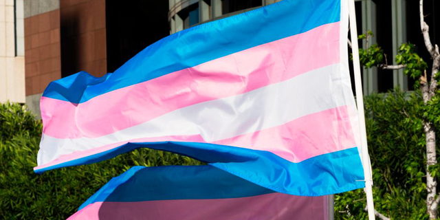 Transgender flag