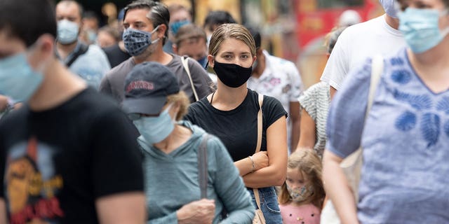 People in masks stand among a crowd waiting in line at The Metropolitan Museum of Art in August 2020 in New York City. 