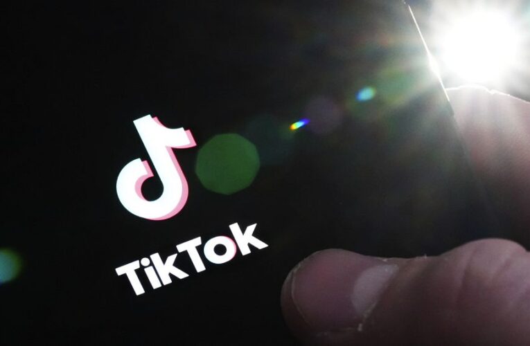 Domino effect as more EU institutions move to ban TikTok on work devices