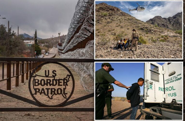 Female border agent attacked by illegal immigrant: report