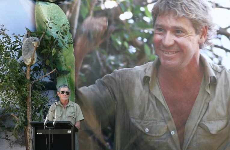 Bob Irwin warns against croc encounters social media trend