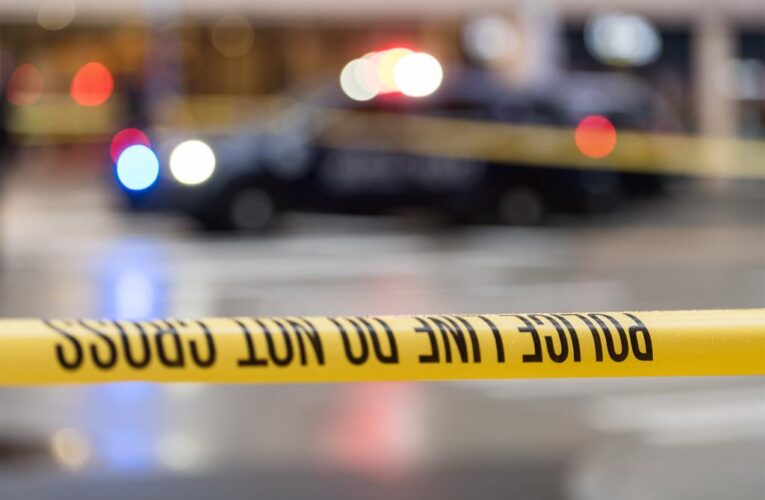 Gunman shoots man in face in NYC park: cops