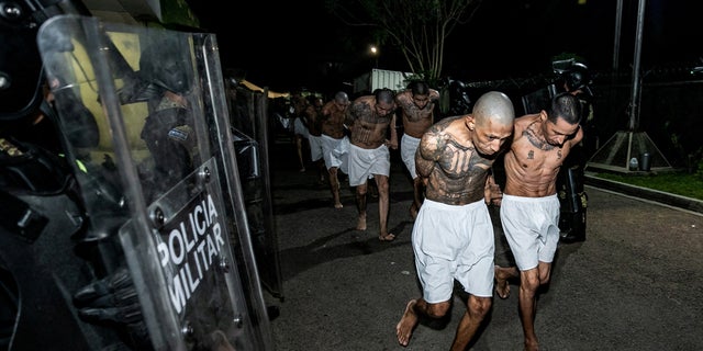 Gang members wait to be taken to their cell after 2,000 gang members were transferred to the Terrorism Confinement Center in Tecoluca, El Salvador, in this handout photo distributed to Reuters on March 15, 2023.