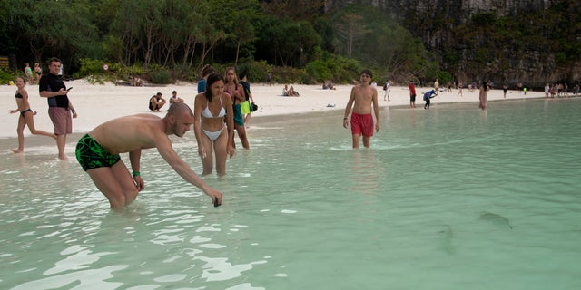 Tourists watch a newborn blacktip reef shark at the beach in Maya Bay at the Phi Phi Island National Park, on Phi Phi Leh Island, Krabi province, Thailand, Feb. 25, 2023. Under pressure from tour operators, authorities reopened Maya Bay in January 2022 after four years of closure, and visitor and revenue figures are once again rising steadily.