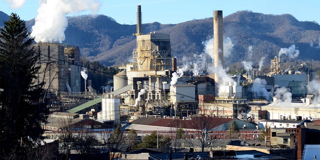 A paper carton mill is pictured in Canton, North Carolina, in 2014.