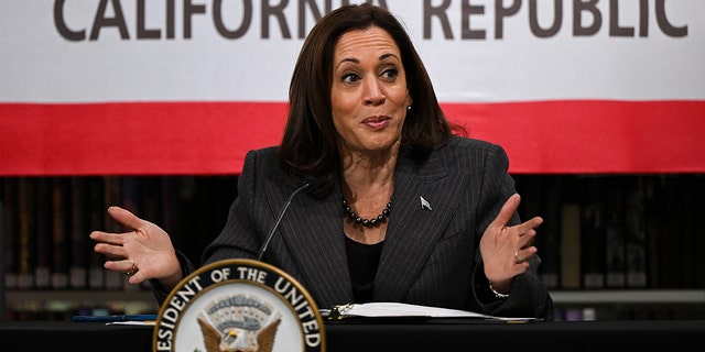 Vice President Kamala Harris delivers remarks at the AAPI (Asian American Pacific Islander) Roundtable at Chinatown Him Mark Lai Library in San Francisco, California, United States on March 3, 2023. 