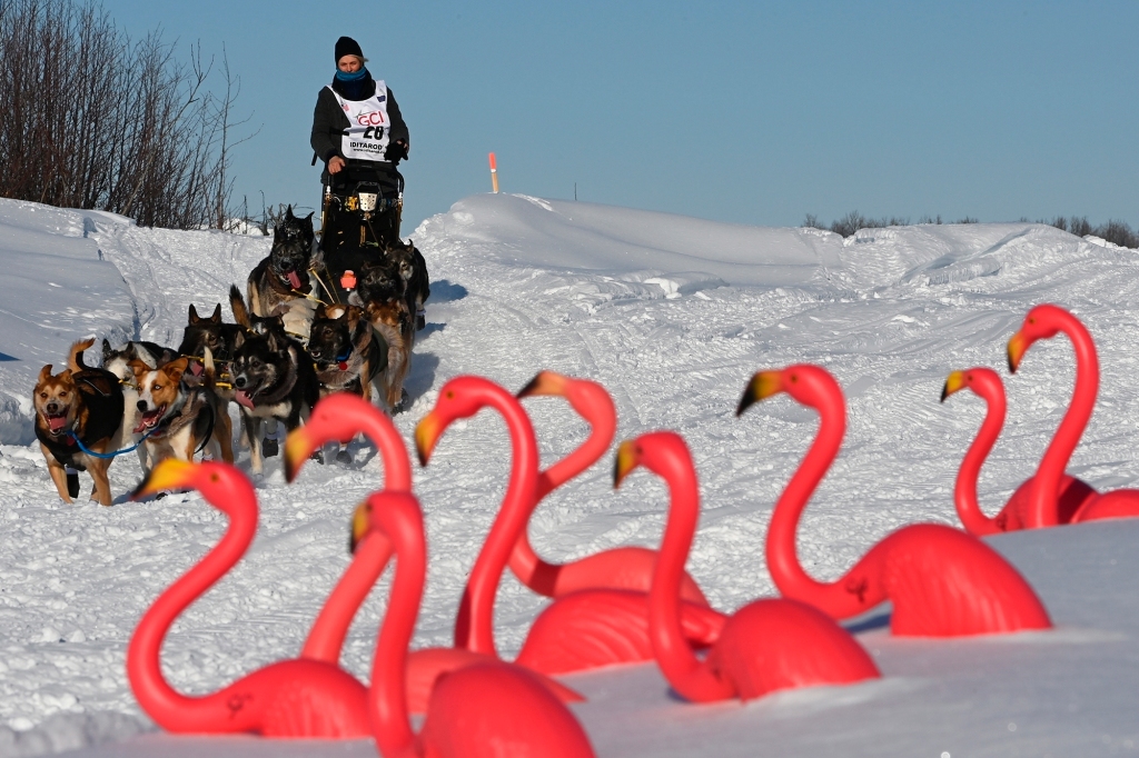 Mille Porsild and her dog team pass by Camp Flamingo on the Susitna River during the start of the Iditarod Trail Sled Dog Race north of Willow, Alaska, on March 7, 2021. 