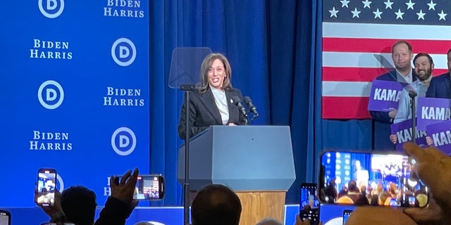 Vice President Kamala Harris speaks at the Democratic National Committee meeting, on Feb. 3, 2023, in Philadelphia.