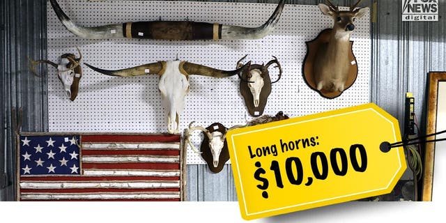 The Murdaughs' longhorn animal head mounts told for $10,000.