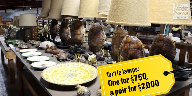 A pair of lamps with stems made out of turtle shells sold for $2,000.