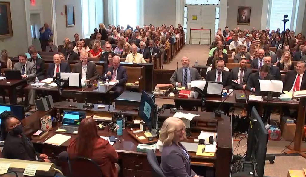 Screenshot from Alex Murdaugh murder trial livestream showing the gallery.