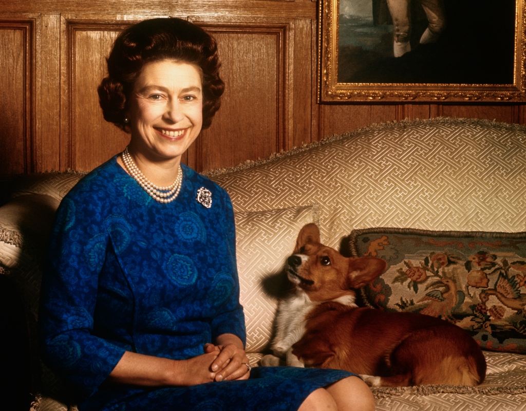 (Original Caption) Sandringham, Norfolk, England, UK: Britain's Queen Elizabeth II smiles radiantly during a picture-taking session in the salon at Sandringham House. Her pet dog looks up at her. These photos were taken in connection with the royal Family's planned tour of Australia and New Zealand.