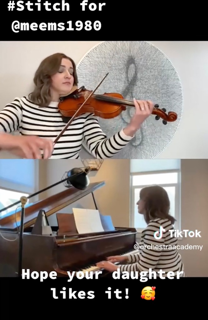 A musician playing the violin and the piano.