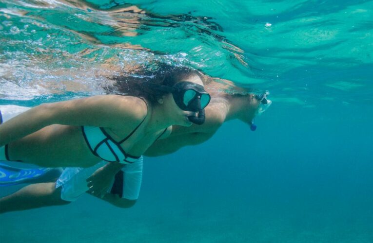 Hawaii snorkeling company abandoned couple in the ocean: suit