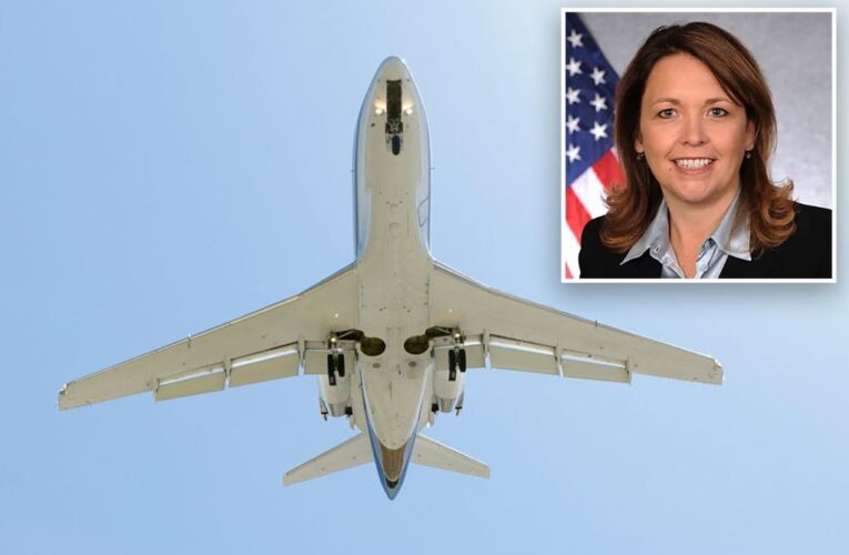 Turbulence revealed as top DC lawyer Dana Hyde possible cause of death aboard jet