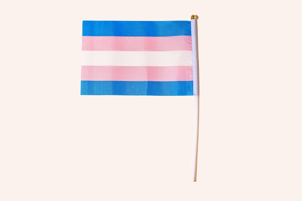 The flag of the transgender movement.
