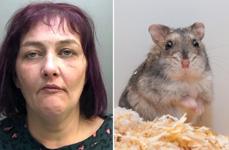 Woman sentenced for killing, eating pet hamster: ‘Abhorrent’