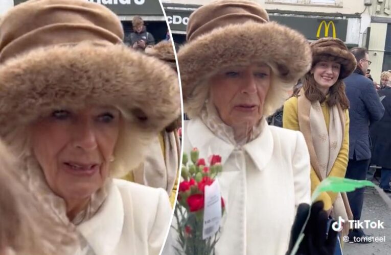 I gave Queen Consort Camilla a Burger King crown