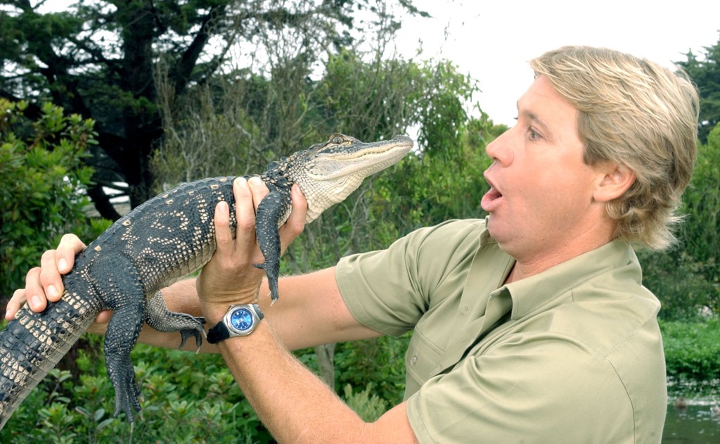 "The Crocodile Hunter", the late Steve Irwin, poses with a three-foot-long alligator at the San Francisco Zoo on June 26, 2002, in San Francisco.