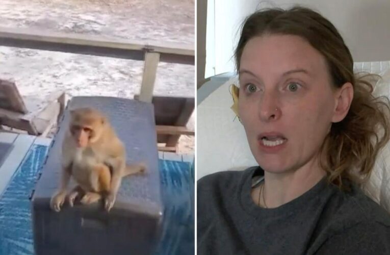 Neighbor’s pet monkey nearly rips off woman’s ear