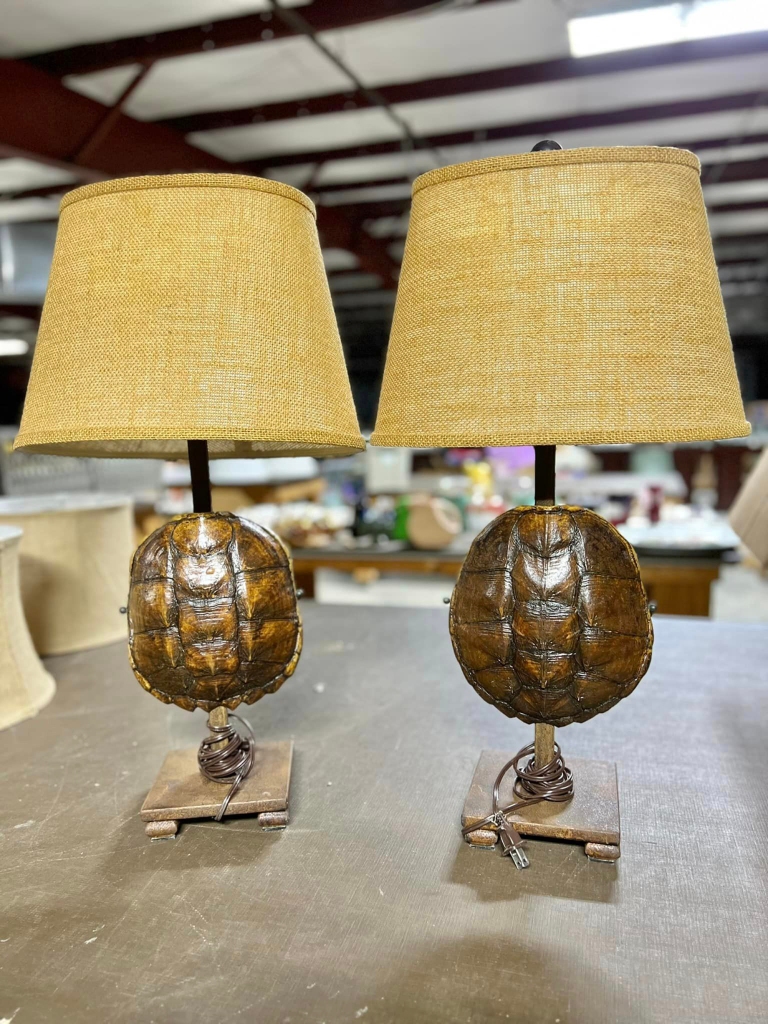 A pair of table lamps with tortoise shells on them.