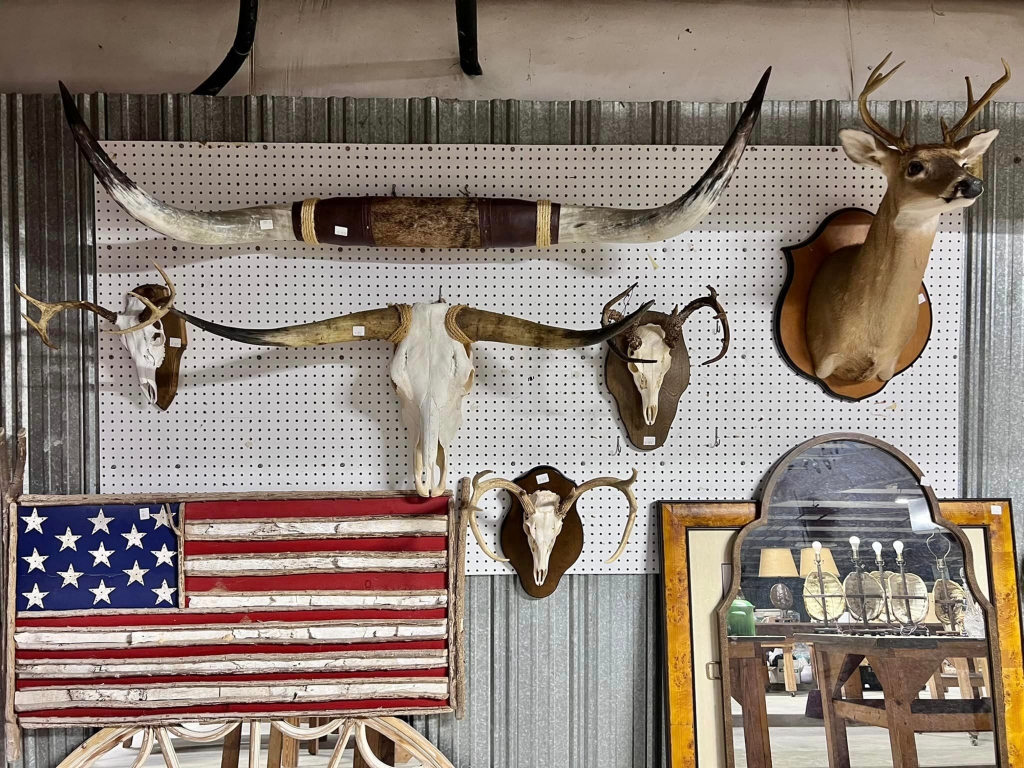 Assorted wall hangings, including animal bones.