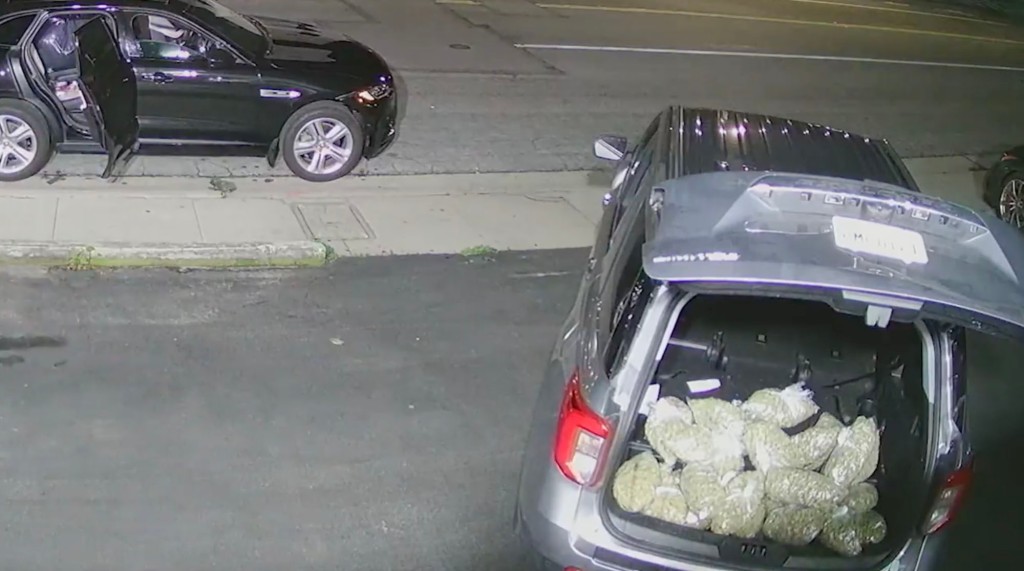 Police are looking for the thieves they believe are responsible for recently robbing two cannabis businesses in Santa Cruz.