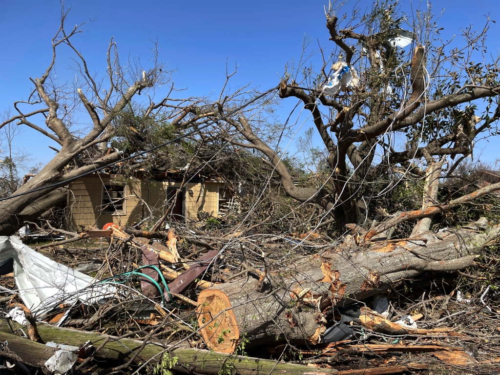 Trees lie on a house in Rolling Fork, Miss., on Saturday, March 25, 2023, a day after a tornado caused widespread damage in the town.