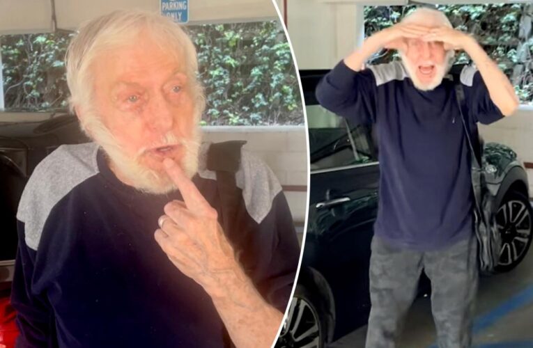 Dick Van Dyke, 97, shows off car crash injuries: new photos