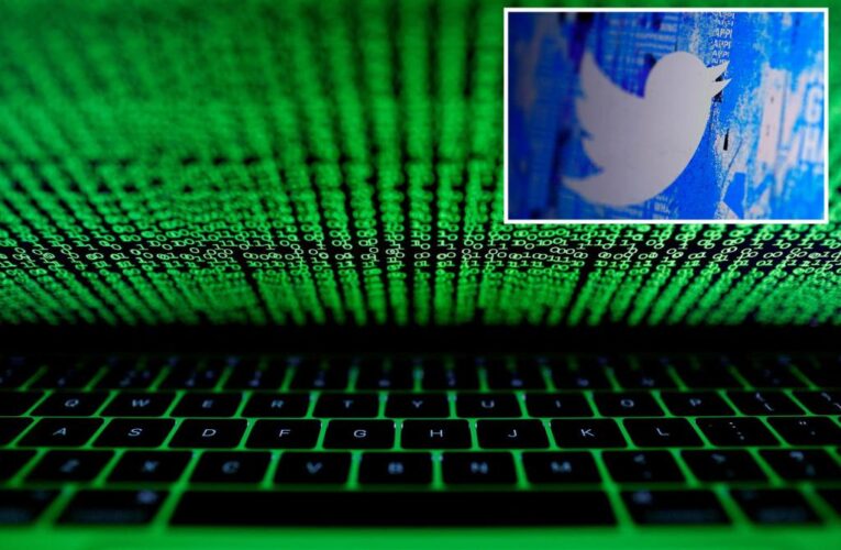 Parts of Twitter’s source code leaked online: report