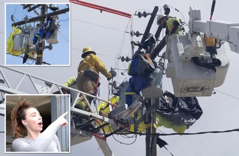 Skydiver saved in California after crashing into power lines