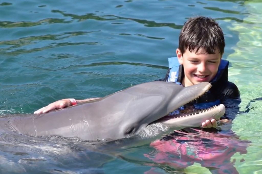 Dillon in a pool with a dolphin.