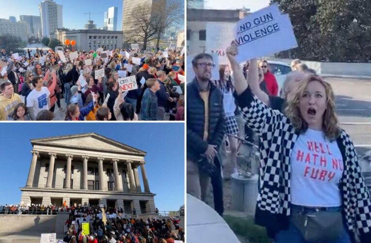 Hundreds rally for gun reform at Nashville State Capitol