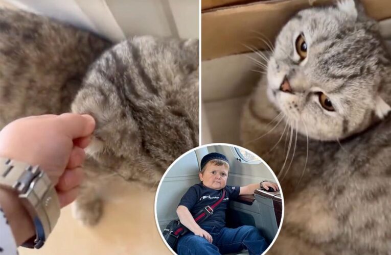 Russian influencer Hasbulla slammed for cat ‘abuse’ video: ‘Shame’