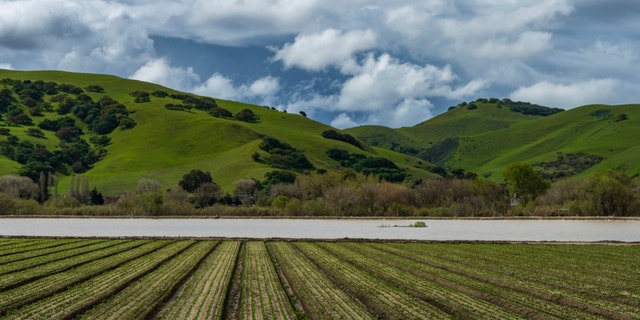 Floodwaters from the Salinas River fill agricultural fields in Spreckels, Calif., Monday, March 13, 2023. 