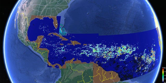 Satellite image showing how far the sargassum seaweed belt stretches