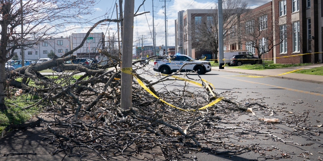 A fallen tree blocks the road along Jo Johnston Ave. near 17th Ave. North as severe weather and strong winds blew through Nashville, Tenn. Friday, March 3, 2023.