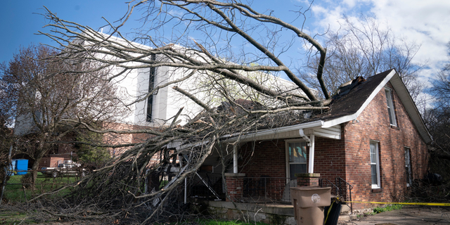 A tree fell through a house along Meharry Blvd. as severe weather and strong winds blew through Nashville, Tenn. Friday, March 3, 2023.