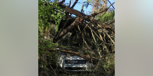 A car parked along Lynda Circle in Red Bank, Tenn. is seen under a fallen tree following storms on Friday, March 3, 2023.