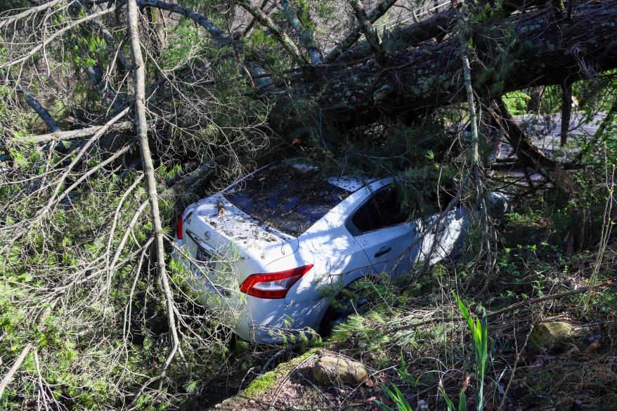 A car parked along a road in Red Bank, Tennessee is crushed under a fallen tree following the storms.