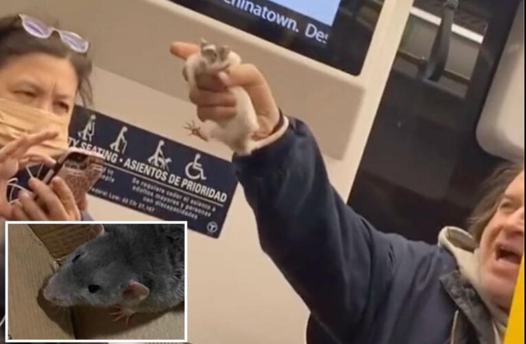 Massachusetts man Jeffery Stuart threatens straphangers with pet rat