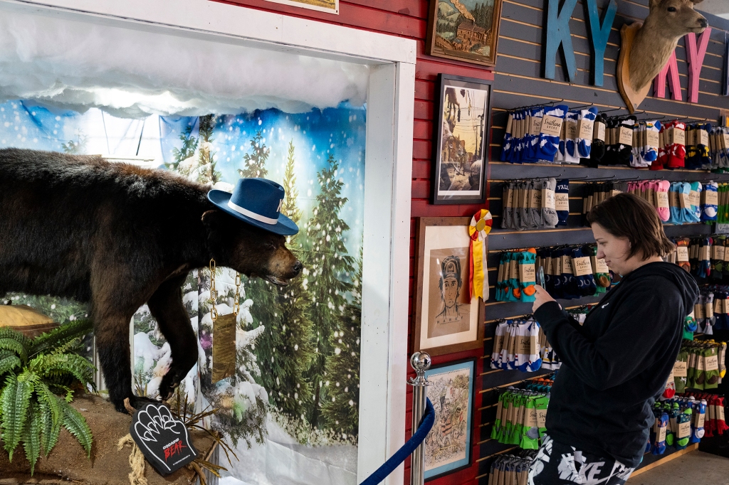 A visitor takes a photo of "Cocaine Bear" in Kentucky.