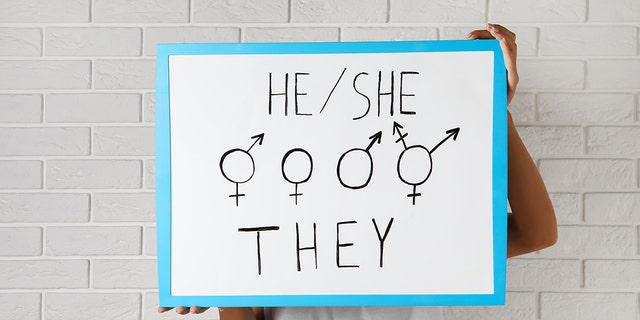 Woman holding sign with gender pronouns and symbols near white brick wall