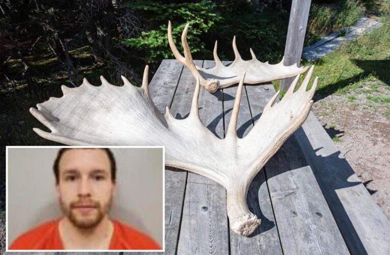 Minnesota dad kill elderly sex offender with moose antler